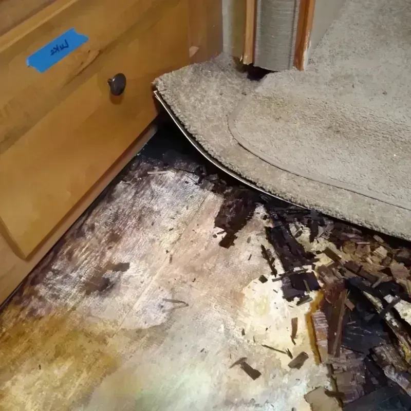 Wood Floor Water Damage in Lake Mohawk, NJ